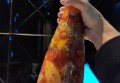 海盐教师招聘文案简短（海盐教育人才招募：简短版）
